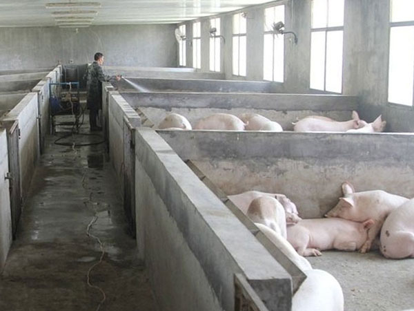 �������Ŀ